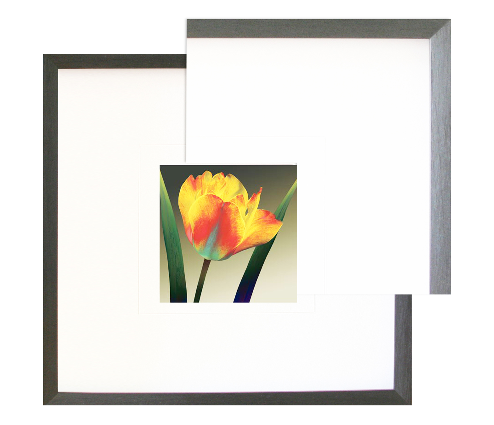 FP180 Wall décor art framed print floral black frame